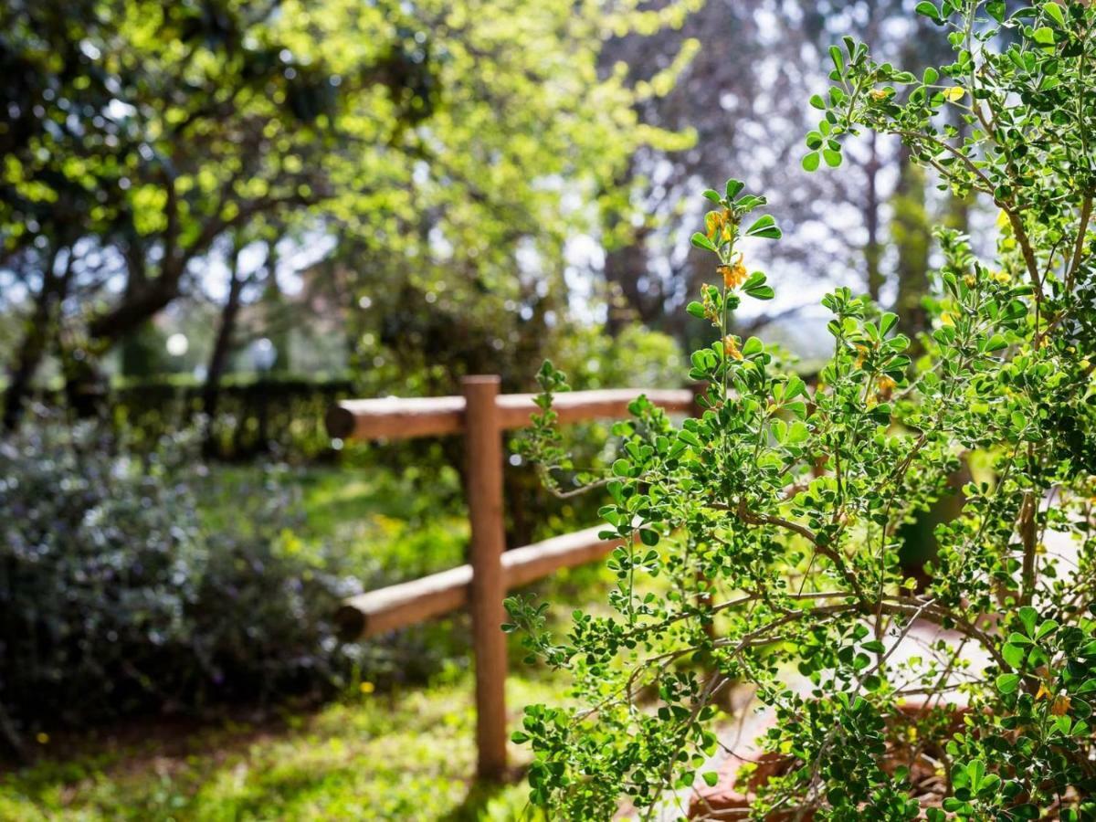 Vila Agriturismo Alberese Sasso Rosso Exteriér fotografie